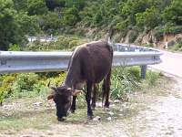 017 Parco Nazionale Genagentu